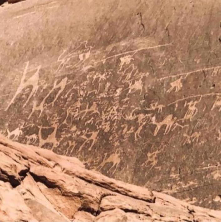 Star Magic Camp Hotell Wadi Rum Exteriör bild