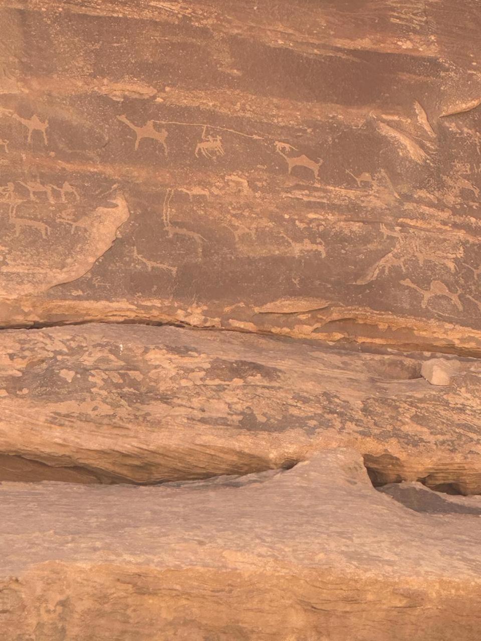 Star Magic Camp Hotell Wadi Rum Exteriör bild